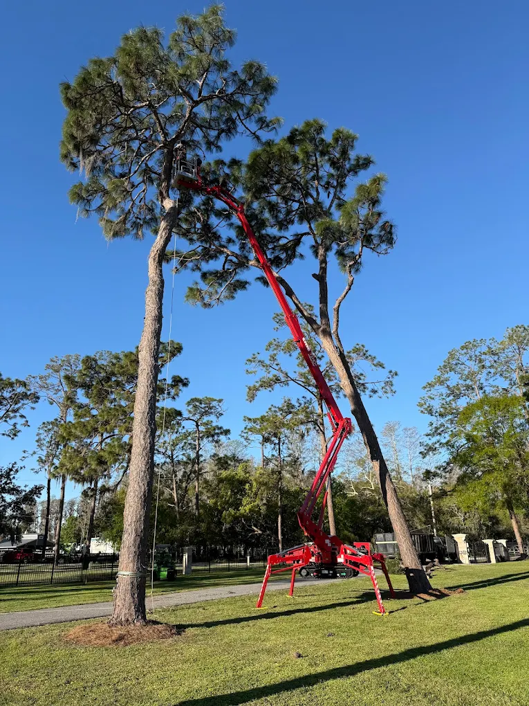 Tree Hunks — on the job